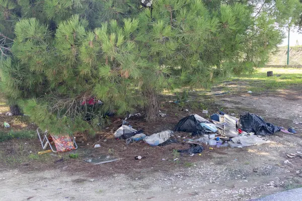Plastik torbalar, şişeler ve çam ağacının altındaki parkı kirleten diğer çöpler.