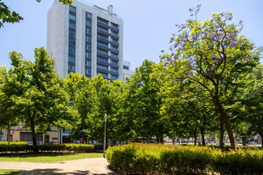 Yeşiller yemyeşil ağaçlar ve çiçek açan jakaranda mimozomları Campo pequeno bahçesi, Lizbon, Portekiz 'deki modern bir yerleşim yeri çerçevesi.