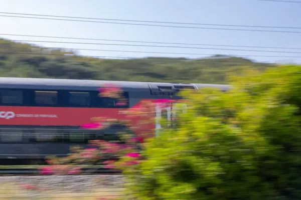 Kırmızı ve gri CP treni hareket bulanıklığıyla Portekiz kırsalında ilerliyor.