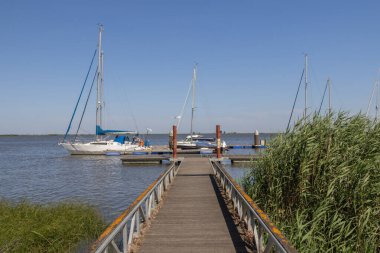 Alhandra, Portekiz 'de, çeşitli yelkenli ve motorlu teknelere giden ahşap bir iskelenin bulunduğu huzurlu bir marina manzarası.