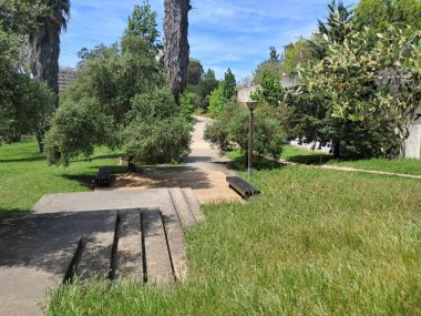 Parkta yeşil çimenler ve ağaçlar beton merdivenler, banklar ve güneşli bir günde sokak lambası