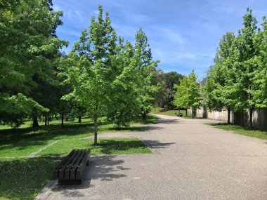 Huzurlu bir şehir parkındaki yemyeşil ağaçların gölgesinde dinlenen modern bank, huzurlu bir kaçış sunuyor.