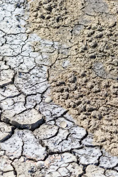Kuru çatlak toprak ve tuz birikintileri kuraklığın ve toprak erozyonunun farklı aşamalarını gösteriyor.