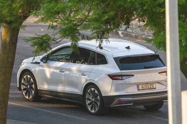 Modern elektrik skoda enyaq coupe IV yol kenarındaki ağaçların yanına park edilmiştir.