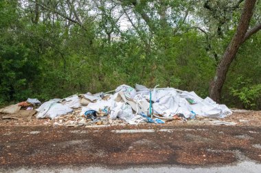 Pile of garbage polluting a forest clearing, showing environmental damage from illegal dumping