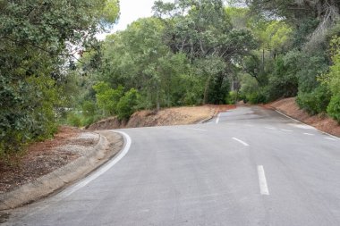 Boş asfalt yolu güneşli bir günde Lizbon, Portekiz 'deki Monsanto Orman Parkı' nın yemyeşil alanında dönüyordu.