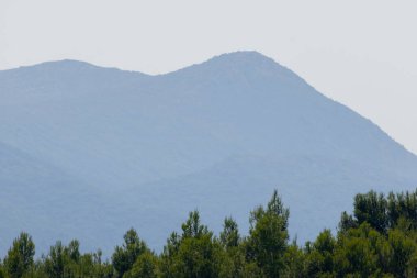 Bir yaz günü Portekiz 'deki Arrabida doğal parkında yeşil ağaçların üzerinde yükselen uzak puslu dağ zirvesi.