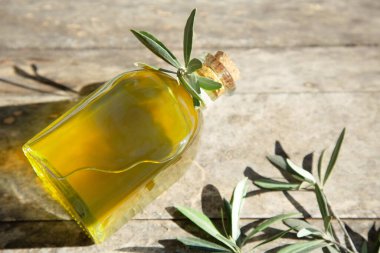 Güneş tarafından aydınlatılan güzel bir şişe zeytin yağı zeytin dalının yanındaki ahşap bir masanın üzerinde. Boşluğu kopyala.