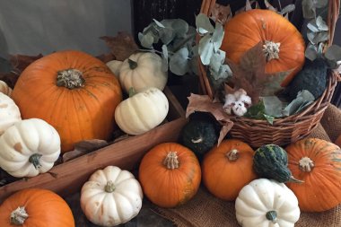 Farklı boyutlarda turuncu ve beyaz balkabaklarının güzel bileşimi. Cadılar Bayramı teması.