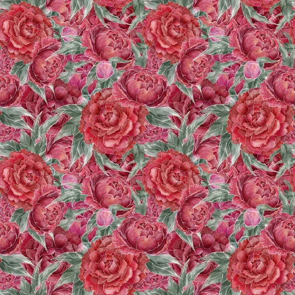Akwarelowy Obraz Czerwonych Piwonii Liśćmi Kwiatami Bez Szwu Pełny Wzór — Zdjęcie stockowe