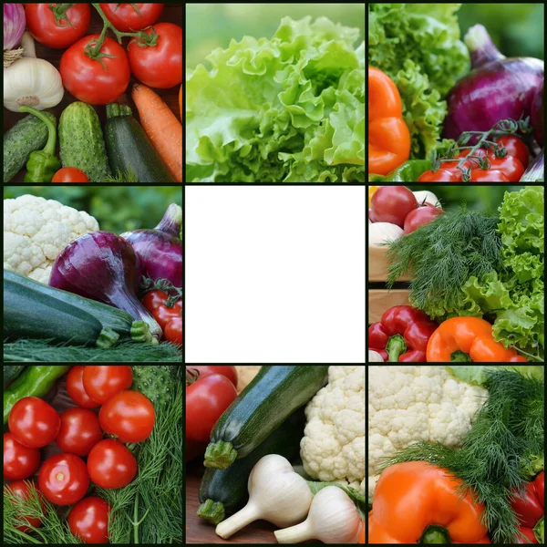 Collection fresh vegetables.Collage of vegetables. Juicy ripe vegetables . Healthy fresh food. Vegetarianism and veganism. Food collage. Copy space for text