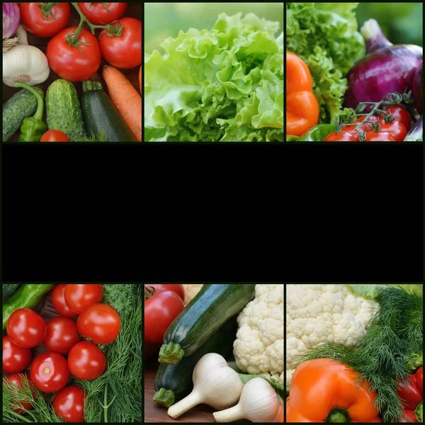 Collection fresh vegetables.Collage of vegetables. Juicy ripe vegetables . Healthy fresh food. Vegetarianism and veganism. Food collage. Copy space for text
