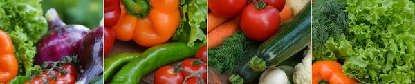 Panoramic collection fresh vegetables.Collage of vegetables. Juicy ripe vegetables . Healthy fresh food. Vegetarianism and veganism. Food collage.