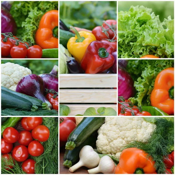 ?ollection fresh vegetables.Collage of vegetables. Juicy ripe vegetables . Healthy fresh food. Vegetarianism and veganism. Food collage.