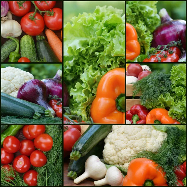Collection fresh vegetables.Collage of vegetables. Juicy ripe vegetables . Healthy fresh food. Vegetarianism and veganism. Food collage.