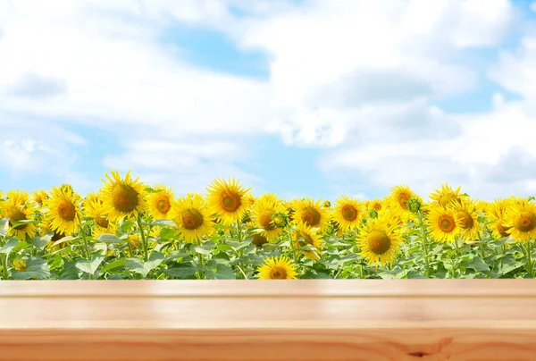 Empty wooden table on sunflower field background. Ready for product montage. Mockup. Banner.Copy space.