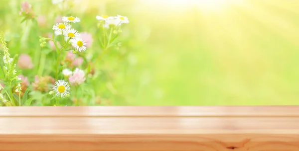 Yaz Çiçeklerinin Arka Planında Boş Ahşap Masa Çayırda Papatya Çiçeği — Stok fotoğraf