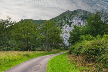 Arka planda dağ ve bulutlu gökyüzü olan yeşil ağaçlar arasındaki bir yolun manzarası.