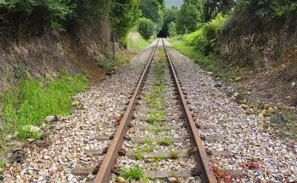 Ölü ve terk edilmiş bir raydaki demiryolu raylarının manzarası.