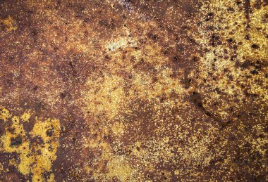 Kahverengi tonlarda oksitlenmiş metal plakanın ön görüntüsü. Şablonları ve dokuyu kavra.