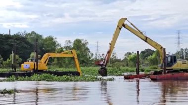 Makineler, Tayland 'da su kanalını tıkayan sümbülü kaldırıyor..