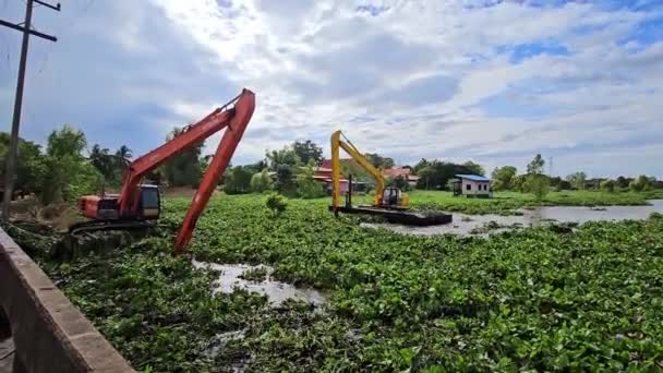 기계는 태국의 운하를 차단하는 Hyacinth를 제거하고 있습니다 — 비디오