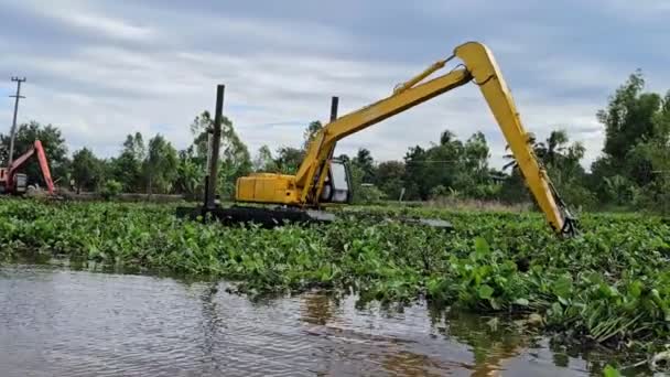 Maschinen Entfernen Wasserhyazinthe Die Einen Wasserkanal Thailand Blockiert — Stockvideo
