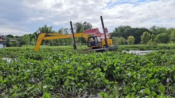 기계는 태국의 운하를 차단하는 Hyacinth를 제거하고 있습니다 — 비디오