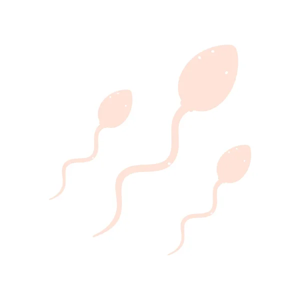 Spermatozon Komórki Plemników Gameta Męska Nasienie Ludzkie Ilustracja Wektora Stylu — Wektor stockowy