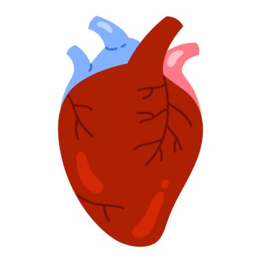 Venöz sistemli insan kalbi. Dolaşım sisteminin iç organı. Vücut anatomisi, biyoloji. Çizgi film tarzında izole vektör illüstrasyonu