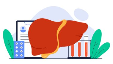 Hepatoloji konsepti. Hepatit A, B, C, D konsepti. İnsan karaciğer organı. Karaciğer hastalığı, sağlık, tedavi. Çizgi film tarzında izole vektör illüstrasyonu