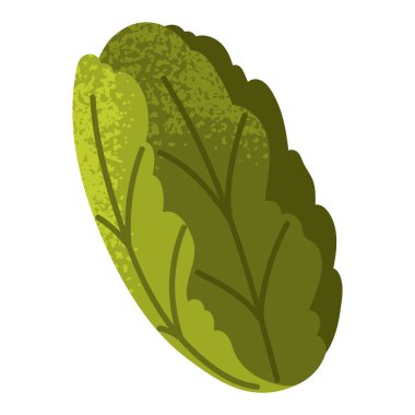 Yeşil marul yaprakları. Romaine marulu. Sağlıklı sebze. Salatalar için taze organik yiyecekler. Çizgi film tarzında vektör illüstrasyonu. Beyaz arkaplanda izole