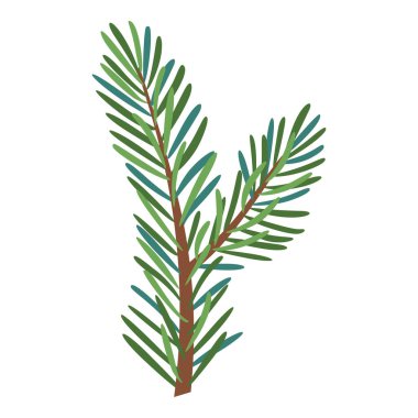 Christmas Larch, Pine, ladin dalı, her zaman yeşil ağaç, köknar, vektör ikonu, kış bitkileri, yeni yıl ağacı, bayram süsü. El çizimi illüstrasyon.