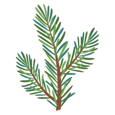 Christmas Larch, Pine, ladin dalı, her zaman yeşil ağaç, köknar, vektör ikonu, kış bitkileri, yeni yıl ağacı, bayram süsü. El çizimi illüstrasyon.
