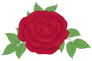 Aşk ve tutkuyu çağrıştıran romantik bir gül çiçeği vektör klipsi. Düğün davetiyeleri ve kalbe hitap eden içten tasarımlar için mükemmel. Vektör illüstrasyonu.