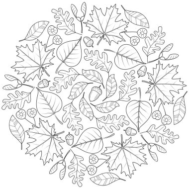 Sonbahar ile sonbahar mandala beyaz zemin üzerine bırakır. Çocuk ve yetişkin renklendirme sayfa. Vektör çizim. 