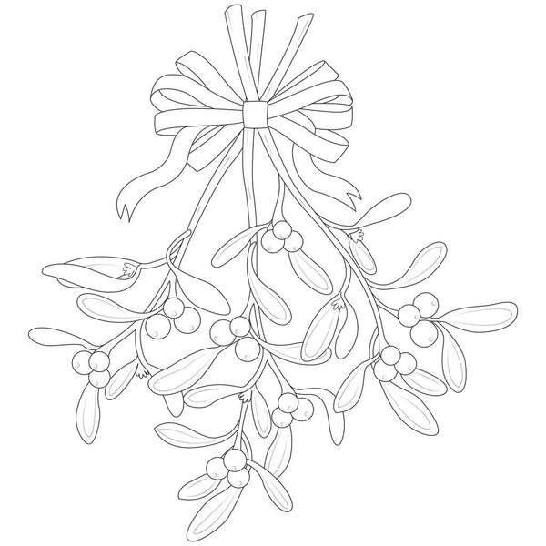 Christmas traditional mistletoe isolated on white background, plant illustration for winter holidays design. Black and white Vector illustration