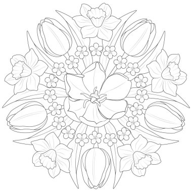 Bahar çiçeklerinin mandala 'sı. Laleler, nergisler ve siyah beyaz unutkanlıklar. Çocuklar ve yetişkinler için yuvarlak desenli boyama sayfası. Vektör illüstrasyonu