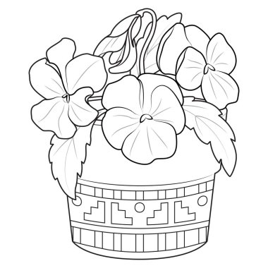 Violets in a pot outline icons. Black and white Violets, pansies. Coloring page for kids and adults. Vector illustration clipart