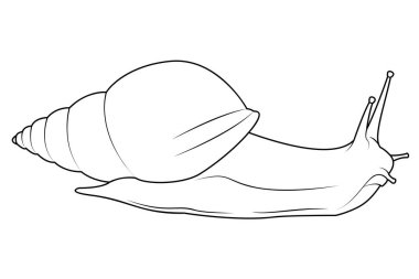 Bahçe salyangozu çizimi. Beyaz arkaplanda izole edilmiş vektör elemanları. Kozmetik ambalaj tasarımı, etiket, logo, pankart ya da basılı Renk sayfası için minimalist çizim. Vektör illüstrasyonu