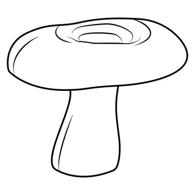 Süt mantarları siyah beyaz izole edilmiş. Eski model. Çocuklar ve yetişkinler için boyama sayfası. Vektör illüstrasyonu.