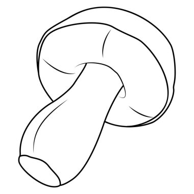 Mantarlar. Bolete, siyah ve beyaz izole edilmiş. Eski model. Çocuklar ve yetişkinler için boyama sayfası. Vektör illüstrasyonu