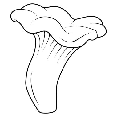Chanterelles Mushrooms Black and white isolated. Vintage. Coloring page. Vector illustration.