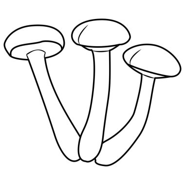 Honey agaric. Fresh shimeji mushrooms. white button isolated. Vintage. Coloring page. Vector illustration.