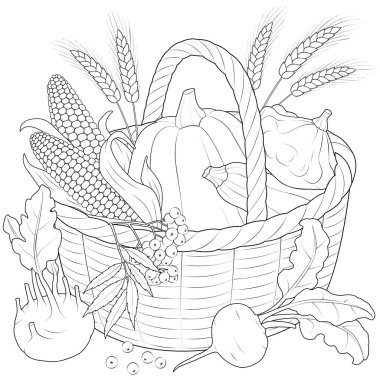 Autumn Harvest Basket black and white vector illustration. Corn, ears of wheat, basket, beets, turnips, pumpkin, squash, kohlrabi. Coloring page for kids and adults.