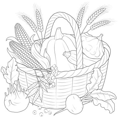 Autumn Harvest Basket black and white vector illustration. Corn, ears of wheat, basket, beets, turnips, pumpkin, squash, kohlrabi. Coloring page for kids and adults. clipart