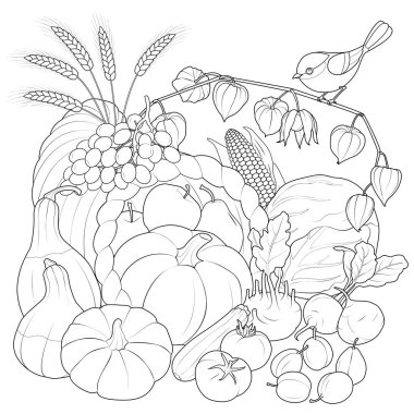 Autumn Harvest vegetables and fruits with bird. black and white vector illustration. Coloring page for kids and adults. Vector illustration