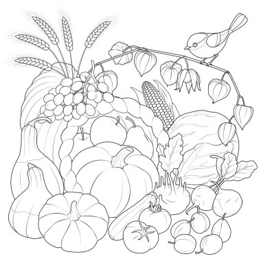 Autumn Harvest vegetables and fruits with bird. black and white vector illustration. Coloring page for kids and adults. Vector illustration clipart