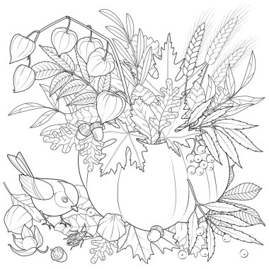 Bouquet of autumn leaves in a pumpkin. Bird and autumn leaves. black and white vector illustration. Coloring page for kids and adults.