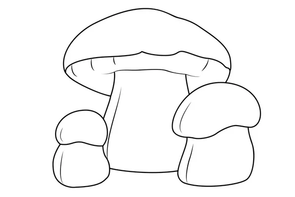 stock vector Mushrooms. Bolete, Black and white isolated. Vintage. Coloring page for kids and adults. Vector illustration